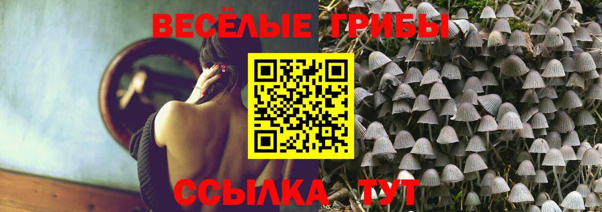 Галлюциногенные грибы ЛСД Семёнов